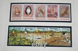 Collection thématique mondiale d'oiseaux de plus de 250 timbres MNH dans un album 1 FDC