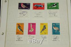 Excellente Collection De Timbres Israéliens Lot De Pages D'albums Avec Mnh, Blocs, Onglets, Fdc, ++