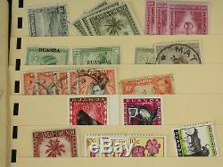 Excellente Congo Belge, Ruanda Stamp Collection Lot Mint Stock De Pages Album
