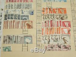 Grande Collection De Timbres Argentine Dans Les Pages 1500+ Stock & Album Classics Withearly +