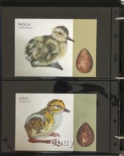 Îles Féroé Collection complète 1975-2010 d’albums de cartes postales et de timbres ZAYIX