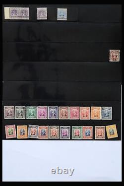 Lot 40384 Collection de timbres Sarawak 1869-1950 sur pages de stockage dans un album