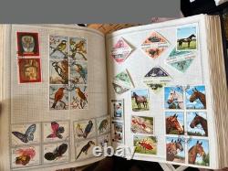 Minkus #3 Album de Timbres Meilleur Collecteurs Timbres et 1000++ Valeurs Supplémentaires Non Montrées Minkus #3 Album de Timbres Meilleur Collecteurs Timbres et 1000++ Valeurs Supplémentaires Non Montrées