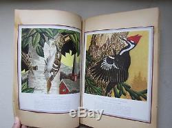 Oiseaux Vintage Gaufrées Timbres Scrapbook 50 Ans Album Photo Siècle MID Tie Binding